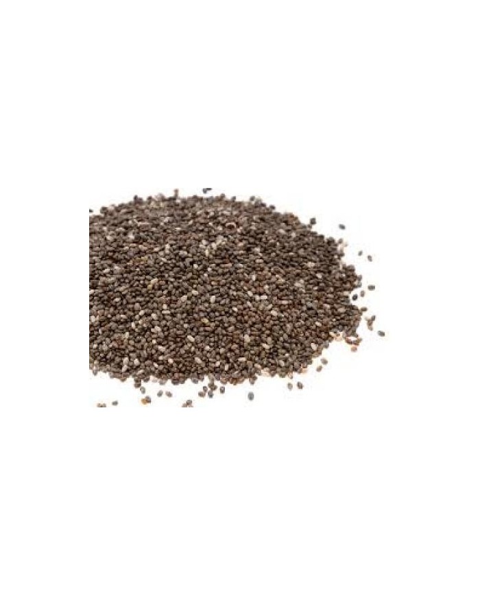 Chia semi - Salvia ispanica