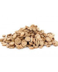 Astragalo radice