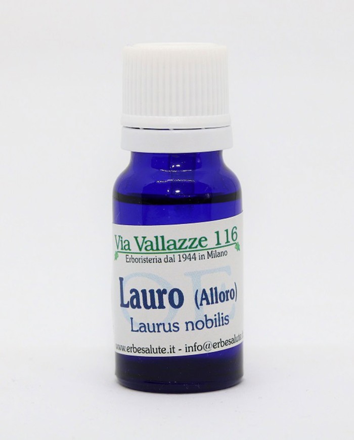 Lavanda alpi