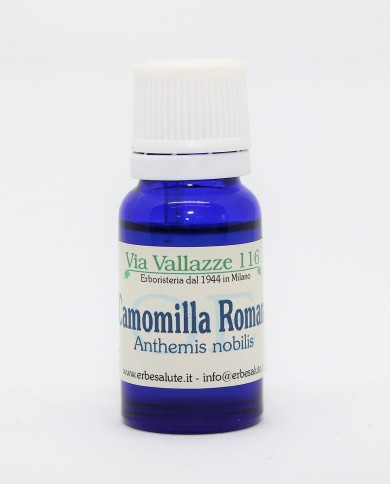 Camomilla romana