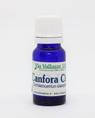 Canfora