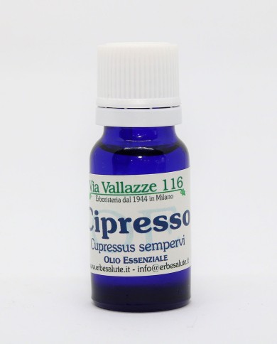 Cipresso bacche