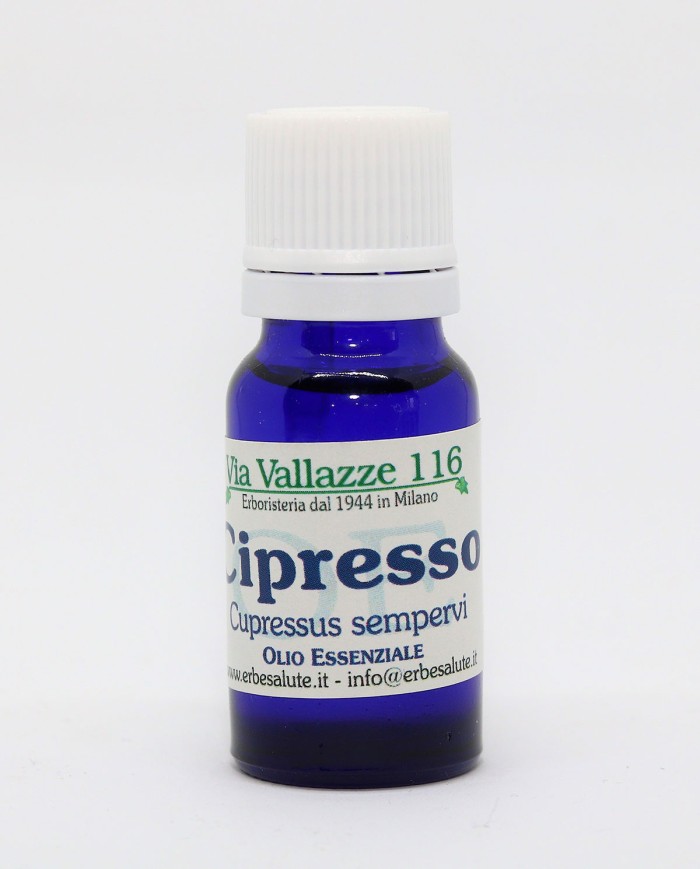 Cipresso bacche