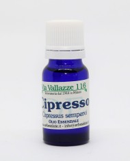 Cipresso bacche