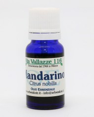 Mandarino