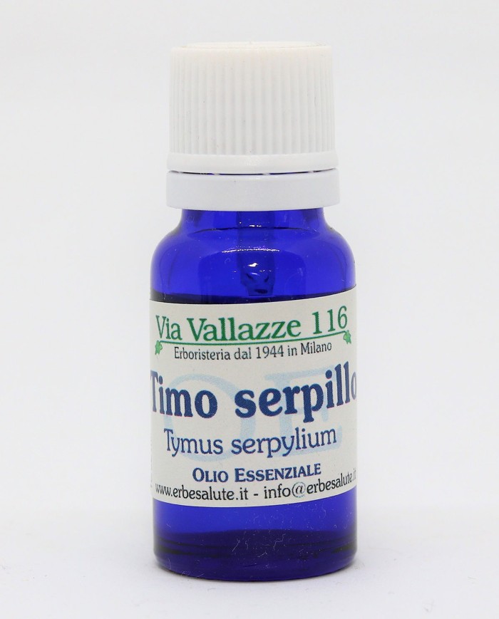 Timo serpillo