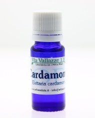 Cardamomo olio essenziale