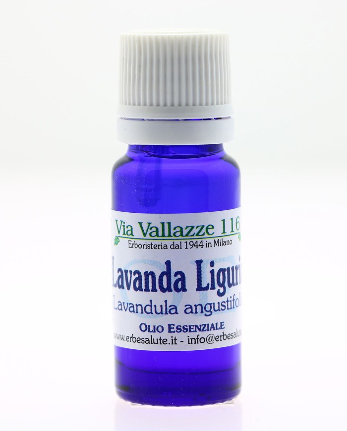 Lavanda alpi
