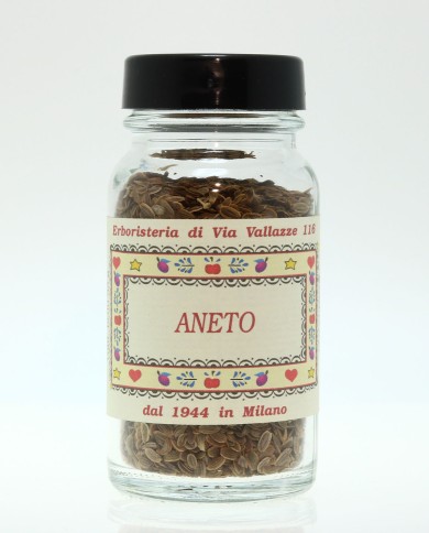 Aneto seme vasetto
