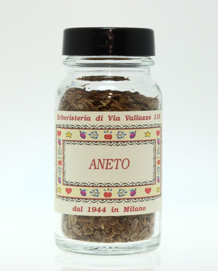 Basilico vasetto