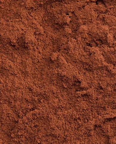 Cacao polvere