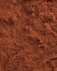 Cacao polvere