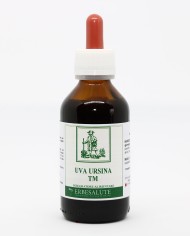 Uva ursina
