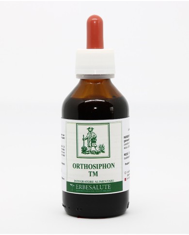 Orthosiphon