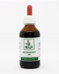 Orthosiphon