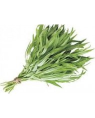 Estragone