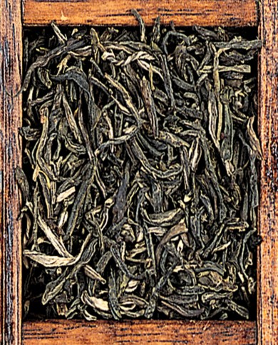 Chung Feng gelsomino