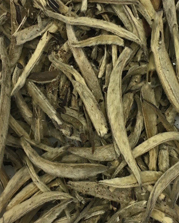 Silvery Needle (top)