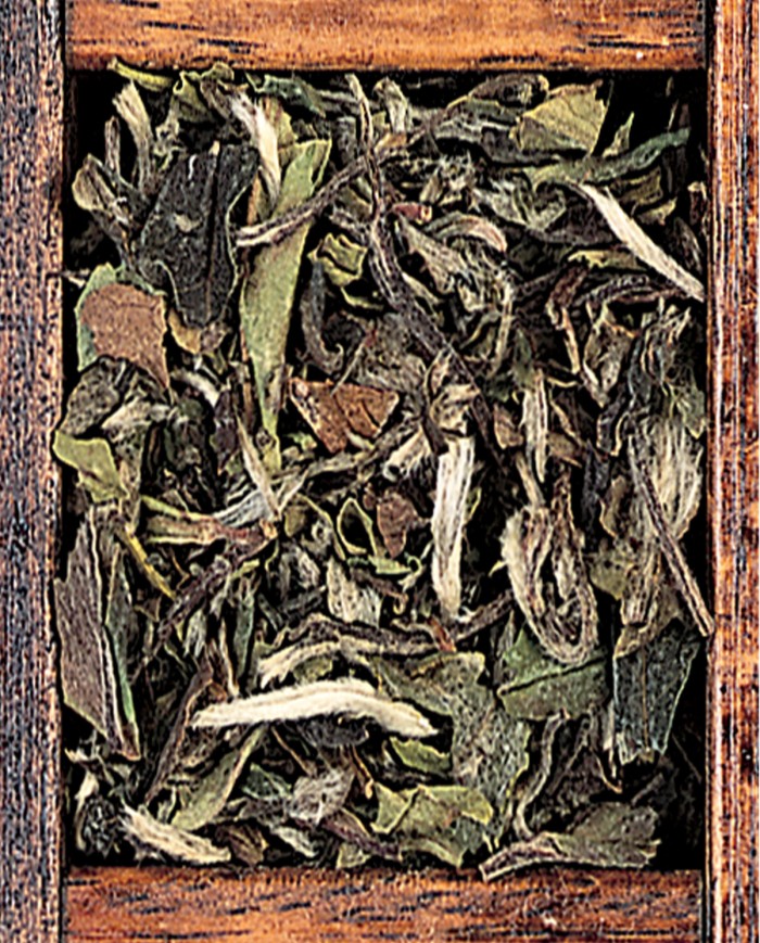 Silvery Needle (top)