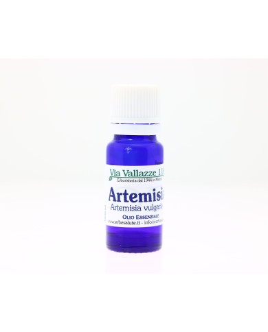 Artemisia