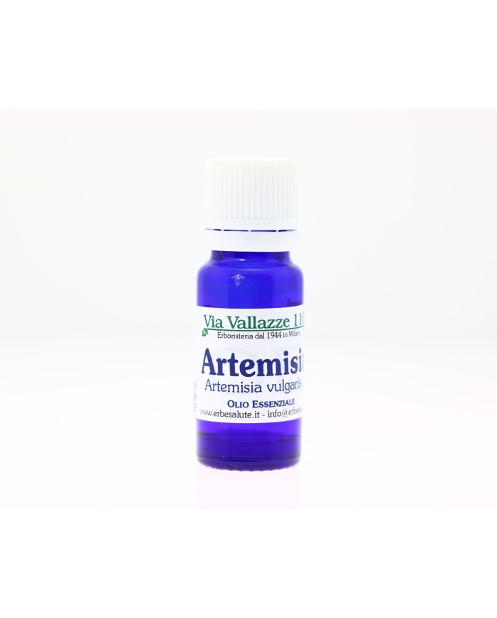 Artemisia