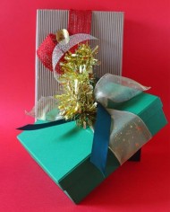 Infusi misti in Scatola Regalo