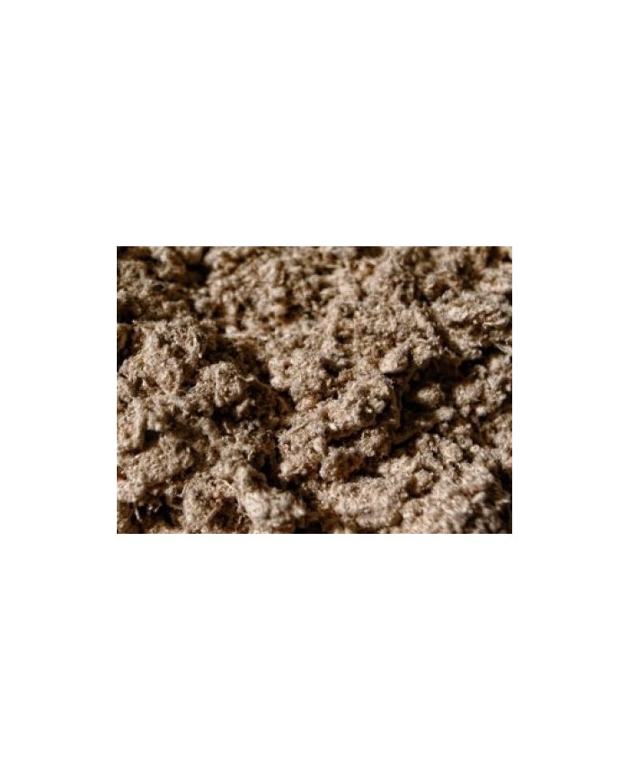 Agarico bianco