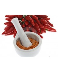 Peperoncino