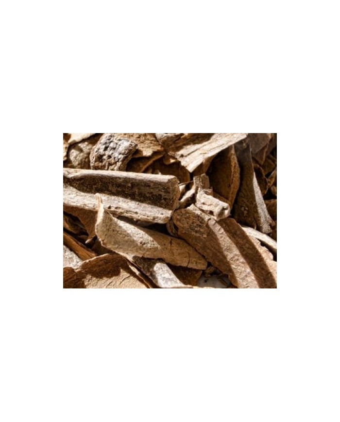 Angostura