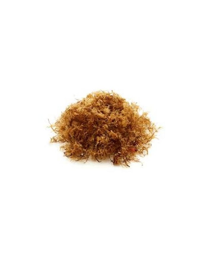 Alga Carragen