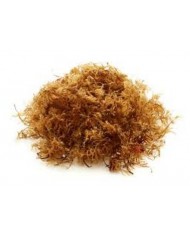 Alga Carragen