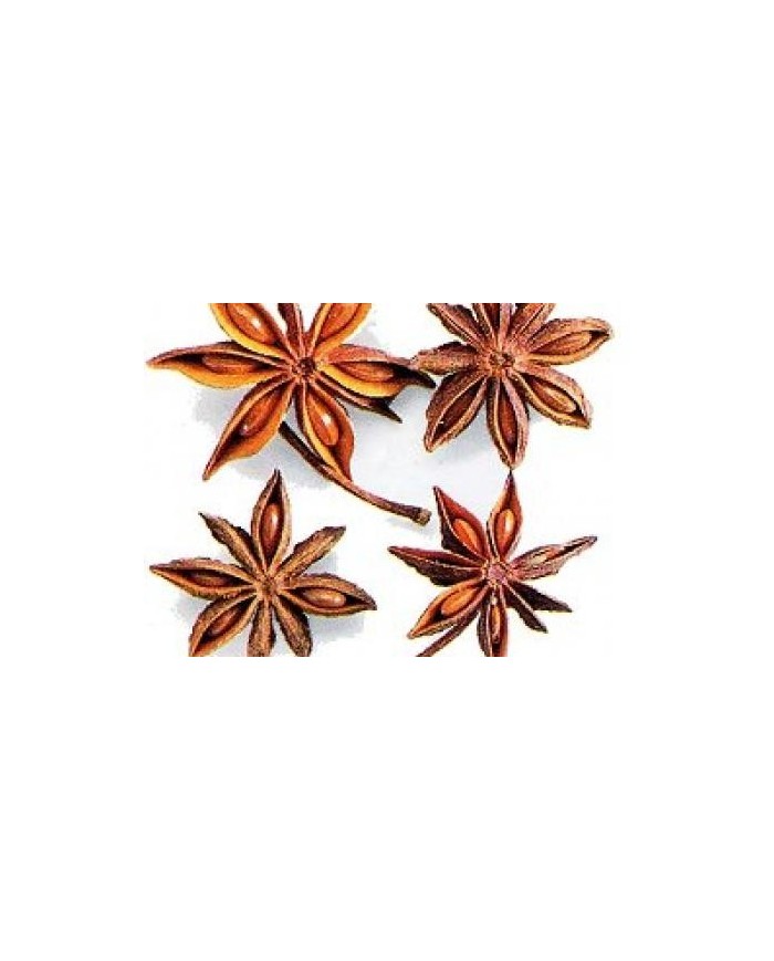 Anice stellato ( Illicium verum)