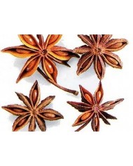 Anice stellato ( Illicium verum)