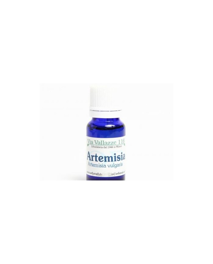 Artemisia