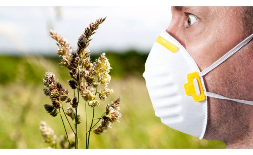 Pollini e Cambiamento Climatico