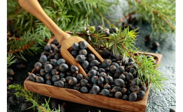 Bacche di ginepro proprietà e usi | Erbesalute 